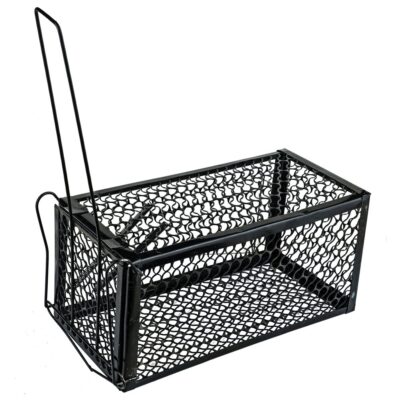 ΠΟΝΤΙΚΟΠΑΓΙΔΑ ΚΛΟΥΒΙ 23x11,5x11,5cm